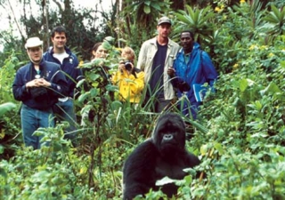 Приключенческий туризм: Руанда вошла в список главных направлений 2012 года