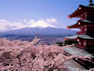 В Японию - только за свой счет: акция «Fly to Japan» не состоится