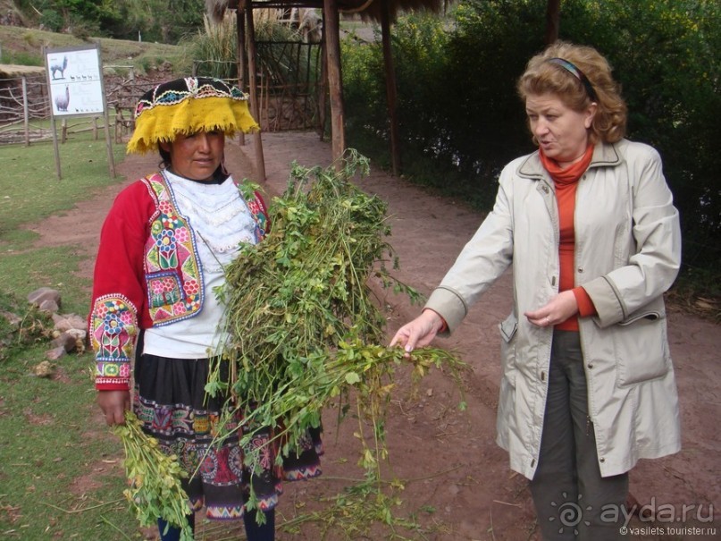 Альбом отзыва "Куско, Мачу-Пикчу и Священная долина"