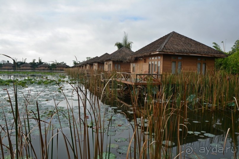 Альбом отзыва "Отзыв об отеле Royal Nadi Resort, Ньоншуэ"