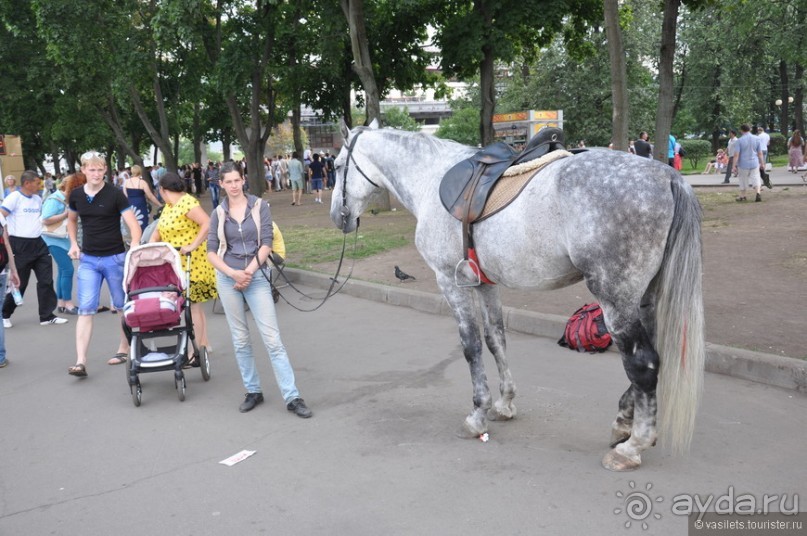 Альбом отзыва "Москва, выходной. Операция Буран."