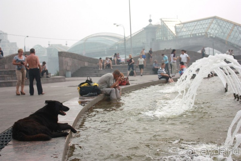 Альбом отзыва "Москва, жара, повторение армагеддона - 2010"