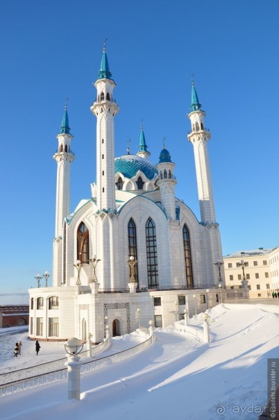 Альбом отзыва "Казанский кот, мороз и татары"