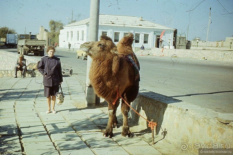 Альбом отзыва "Ташкент-Бухара-Самарканд всего лишь 30 лет назад"