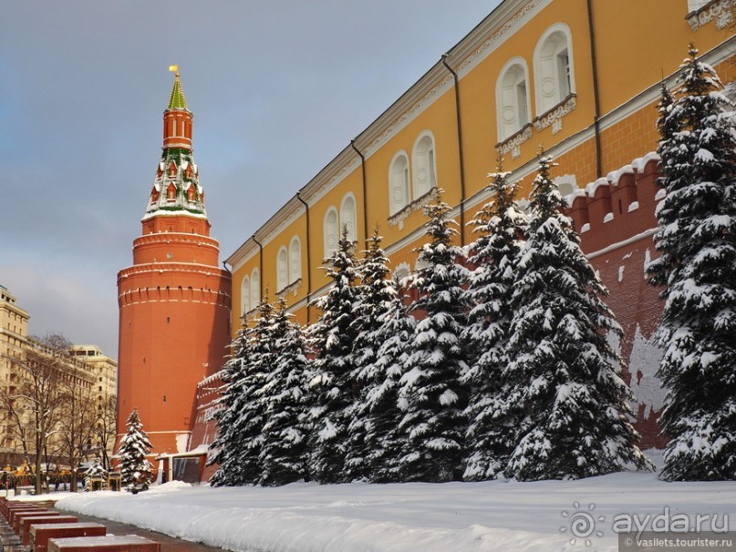 Альбом отзыва "Москва, зима и тур-халява"