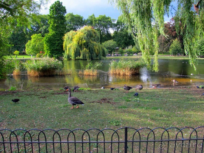 Мне приснилось небо Лондона