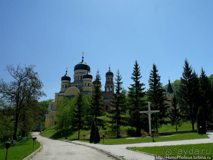 Альбом отзыва "Бессарабский экспресс"