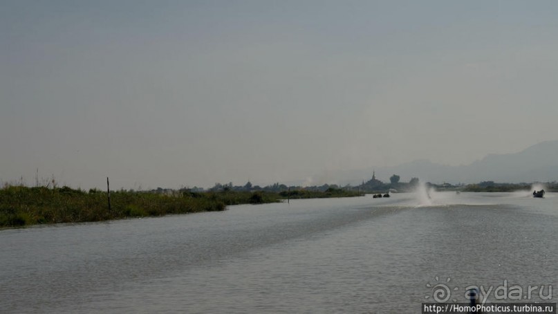 Альбом отзыва "Жизнь на воде"