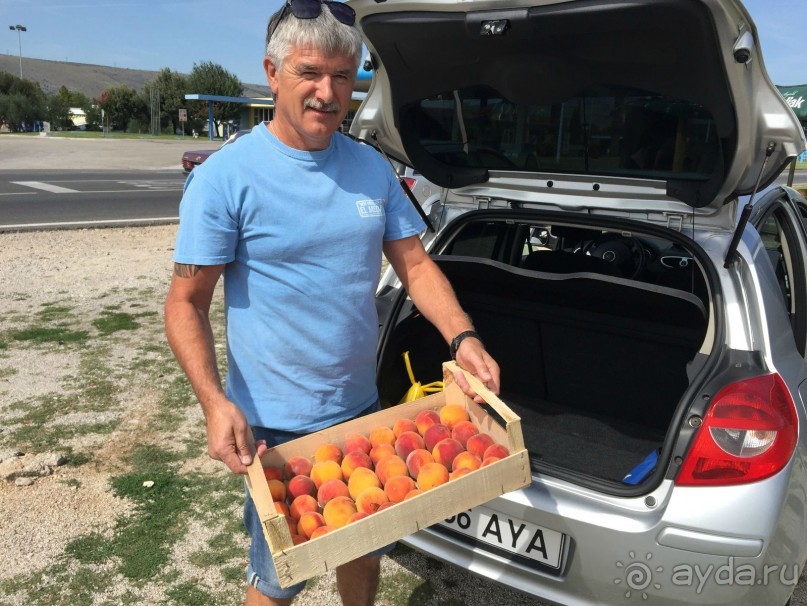 Альбом отзыва "Из Дубровника в Мостар на автомобиле"