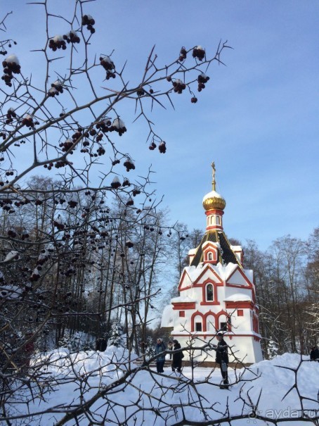 Альбом отзыва "Где это - Вознесенская Давидова Пустынь"