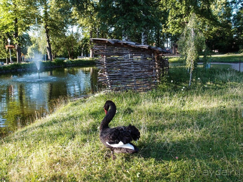 Альбом отзыва "Вечерний Цесис"