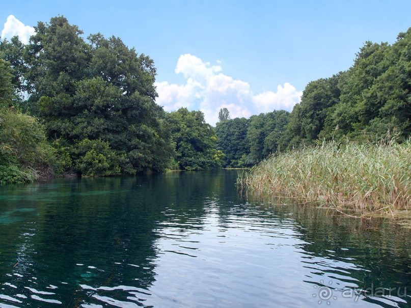 Альбом отзыва "Светлые воды Свети Наума"