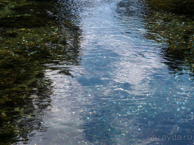 Альбом отзыва "Светлые воды Свети Наума"