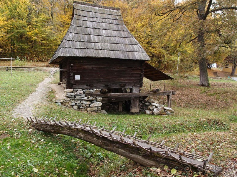 Альбом отзыва "Осенняя Думбрава"