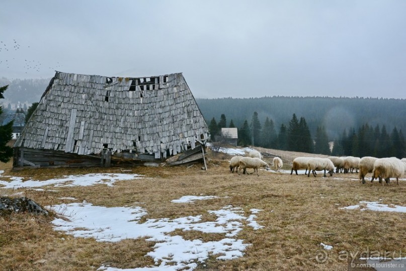 Альбом отзыва "Балканское кольцо. Часть 8"