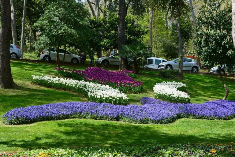 Альбом отзыва "Прогулки по Стамбулу. Парки"