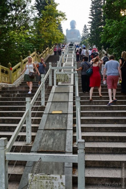 Альбом отзыва "Незнакомый Гонконг"