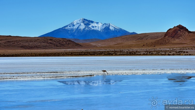 Альбом отзыва "Bolivia te espera! Часть 5"