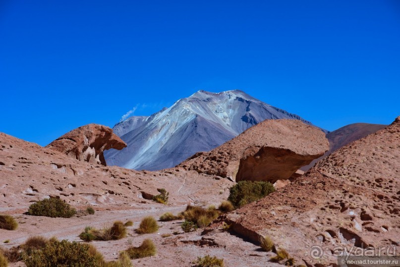 Альбом отзыва "Bolivia te espera! Часть 5"