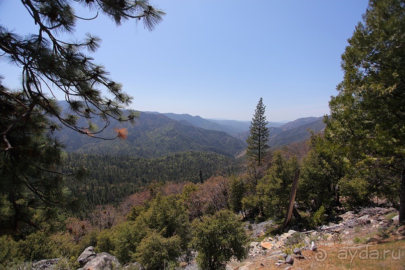 Альбом отзыва "Day 9. Yosemite National Park"