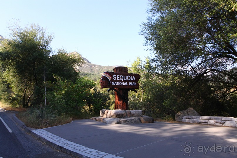 Альбом отзыва "Day 9. Yosemite National Park"