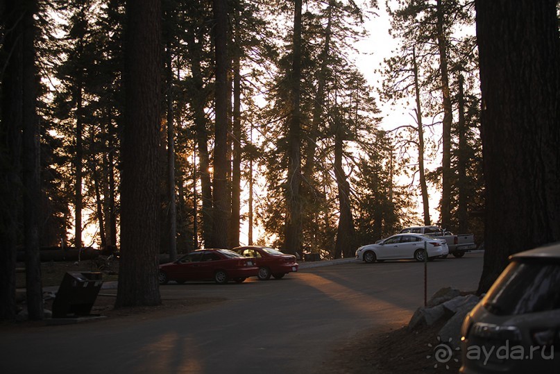 Альбом отзыва "Day 9. Yosemite National Park"