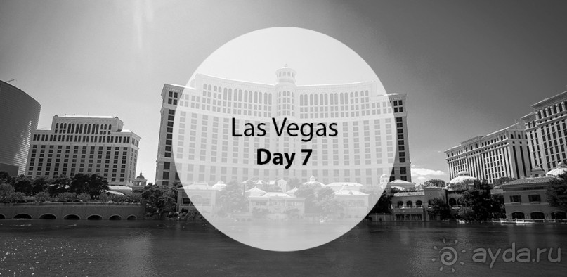 Альбом отзыва "Day 7. Las Vegas"