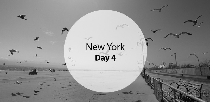 Альбом отзыва "Day 4. New York"