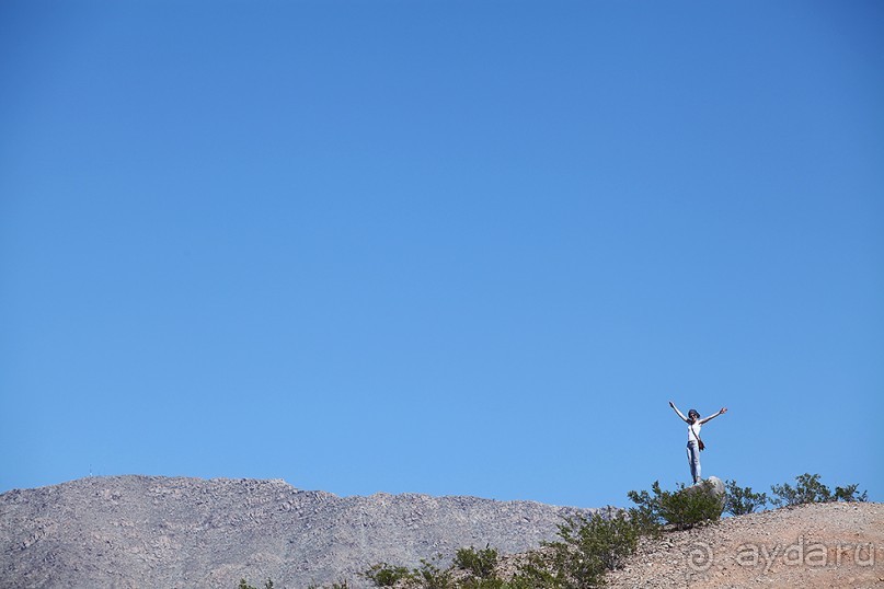 Альбом отзыва "Day 8. Nevada. И еще один день в Вегасе или как я женился в городе греха"