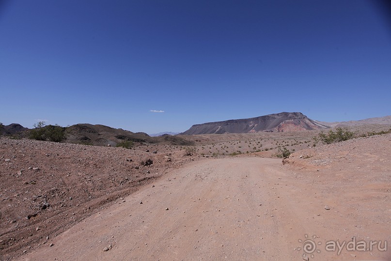 Альбом отзыва "Day 8. Nevada. И еще один день в Вегасе или как я женился в городе греха"