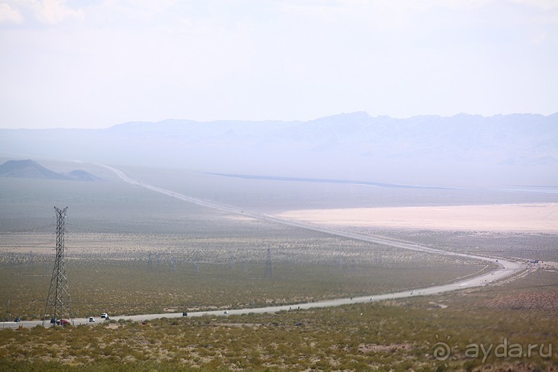 Альбом отзыва "Day 8. Nevada. И еще один день в Вегасе или как я женился в городе греха"