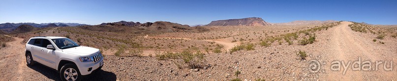 Альбом отзыва "Day 8. Nevada. И еще один день в Вегасе или как я женился в городе греха"