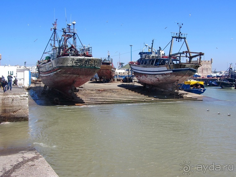 Альбом отзыва "Возвращение на Восток: Марокко без мороки, или страна, которая не напрягает. Часть 9"