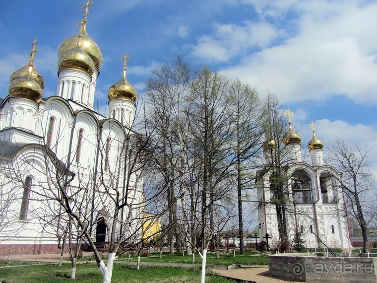 Альбом отзыва "Прогулки за лесами - Переславль-Залесский"