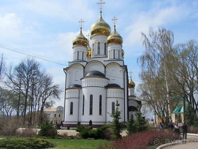 Альбом отзыва "Прогулки за лесами - Переславль-Залесский"