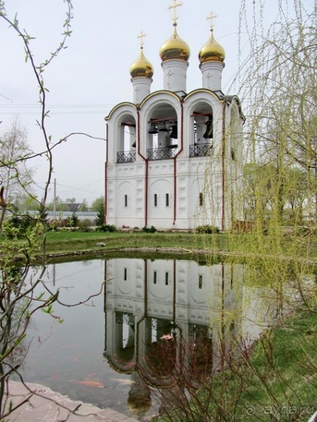 Альбом отзыва "Прогулки за лесами - Переславль-Залесский"