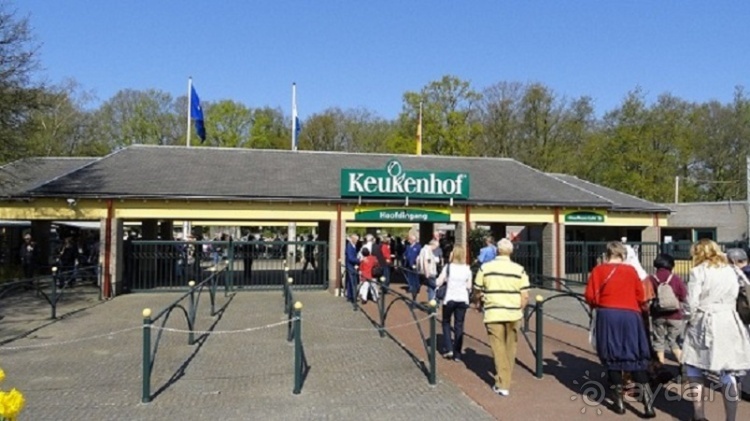 Альбом отзыва "Парк цветов Keukenhof"