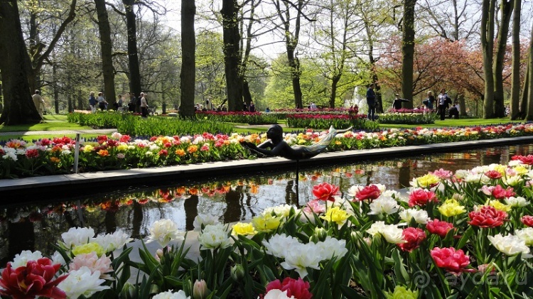 Альбом отзыва "Парк цветов Keukenhof"