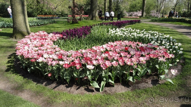 Альбом отзыва "Парк цветов Keukenhof"