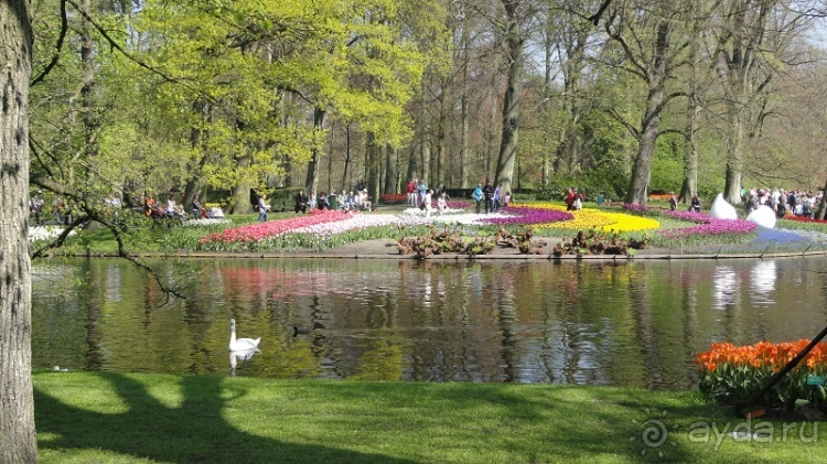 Альбом отзыва "Парк цветов Keukenhof"