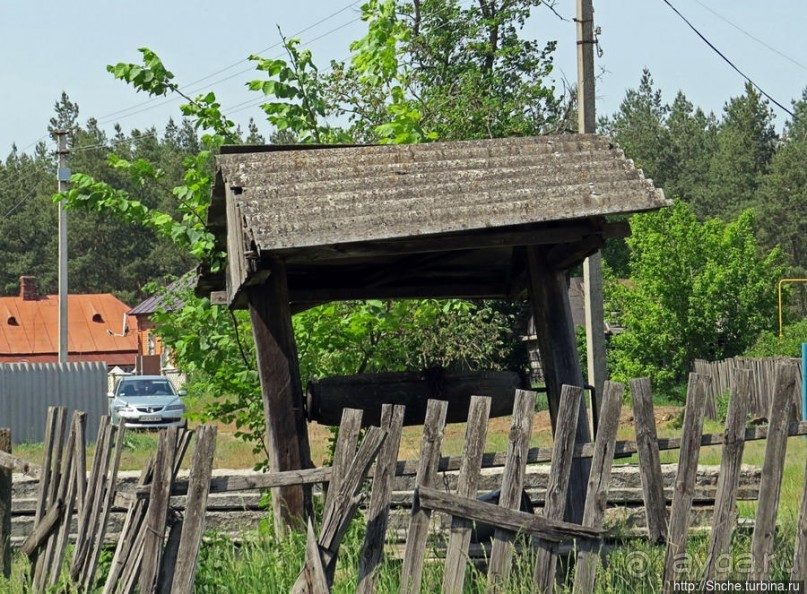 Альбом отзыва "Есть лес, и есть опушка... и будет здесь избушка"