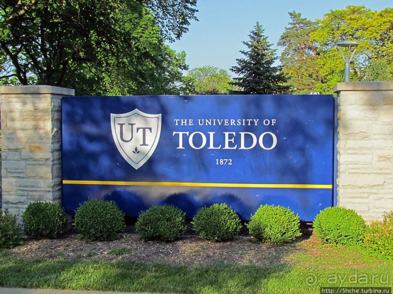 Альбом отзыва "University of Toledo — один из крупнейших университетов США"