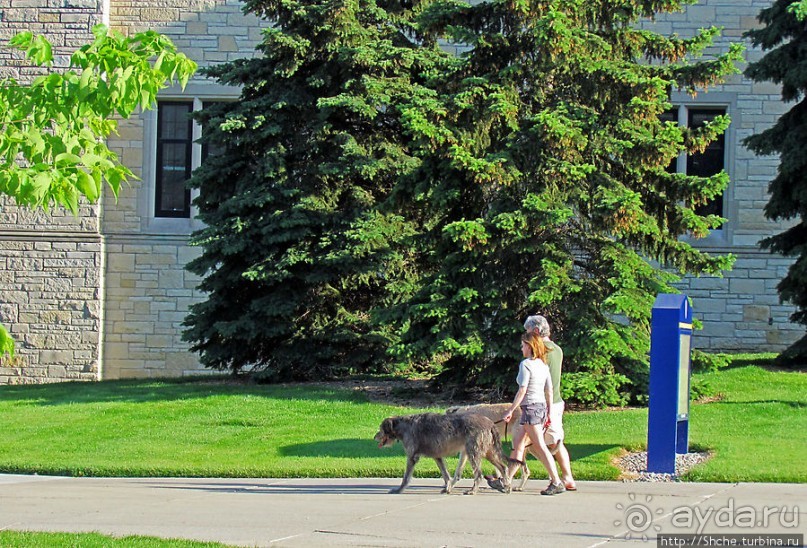 Альбом отзыва "University of Toledo — один из крупнейших университетов США"