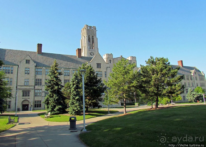 Альбом отзыва "University of Toledo — один из крупнейших университетов США"