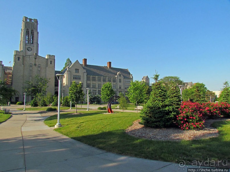 Альбом отзыва "University of Toledo — один из крупнейших университетов США"