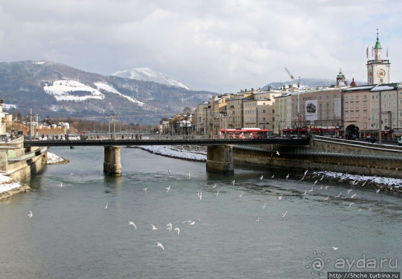 Альбом отзыва "На берегах реки Соленой ( Salzach )"