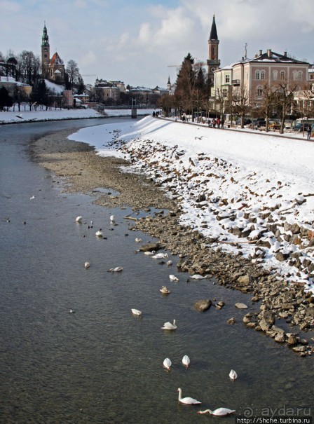 Альбом отзыва "На берегах реки Соленой ( Salzach )"