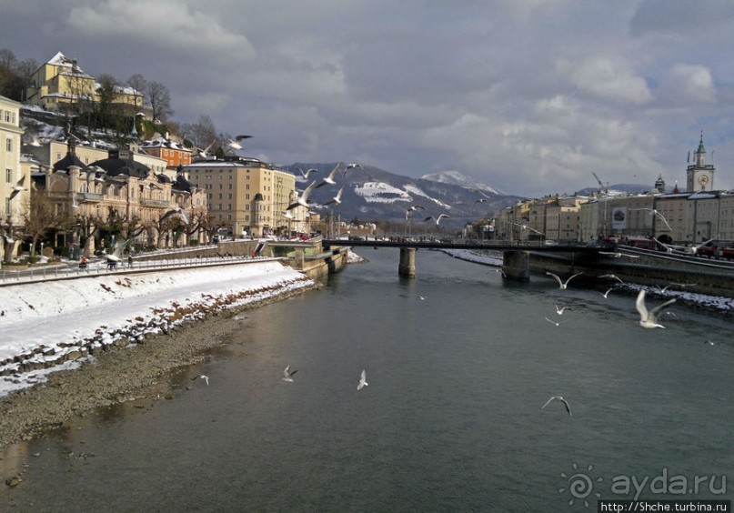 Альбом отзыва "На берегах реки Соленой ( Salzach )"