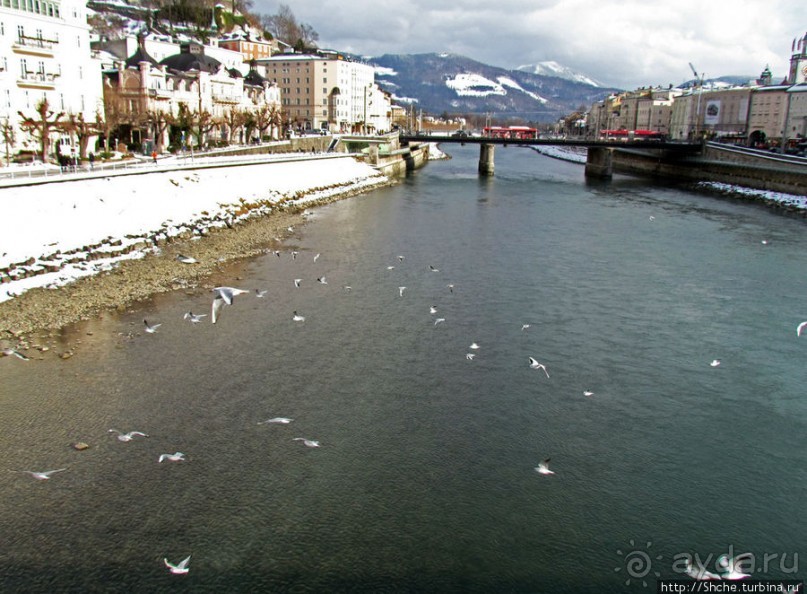 Альбом отзыва "На берегах реки Соленой ( Salzach )"