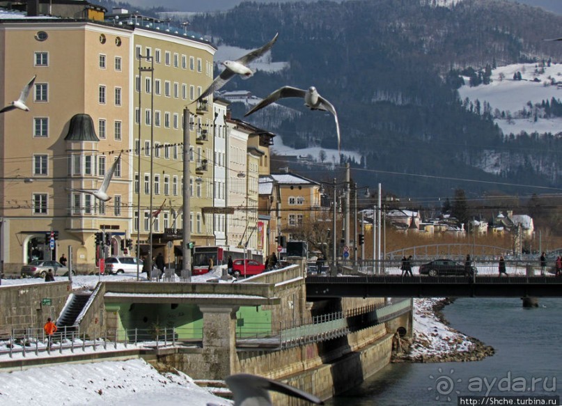 Альбом отзыва "На берегах реки Соленой ( Salzach )"